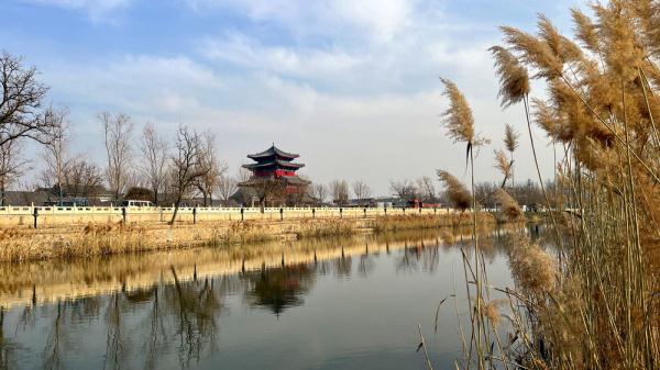 河北沧州运河区:运河穿城过 冬景美如画 河北沧州运河区:运河穿城过 冬景美如画