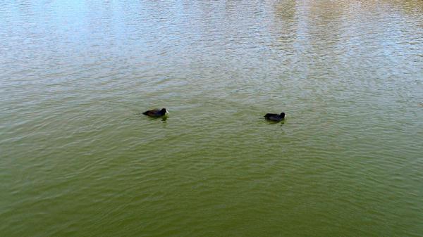 河北沧州运河区:运河穿城过 冬景美如画 河北沧州运河区:运河穿城过 冬景美如画