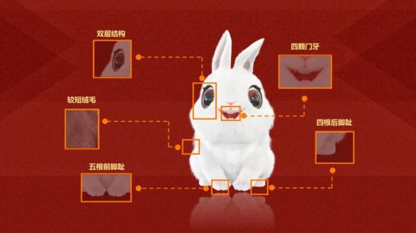 官宣!“兔圆圆”来了!与安徽有关→ 官宣!“兔圆圆”来了!与安徽有关→