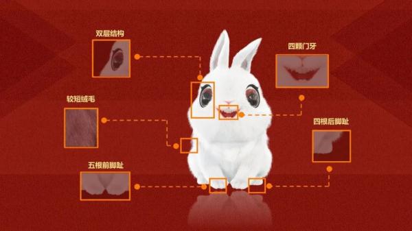 手稿来啦!春晚“兔圆圆”,出自这位深圳艺术家之手→ 手稿来啦!春晚“兔圆圆”,出自这位深圳艺术家之手→