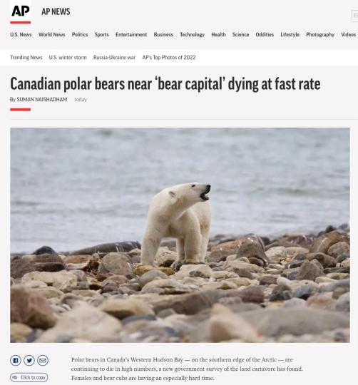 外媒：全球变暖正在加速极地生物灭绝