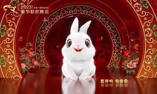 这只安徽兔不简单