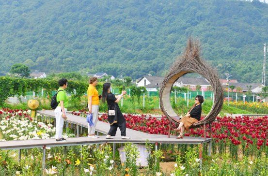 岳阳市岳阳楼区：文旅更有烟火气