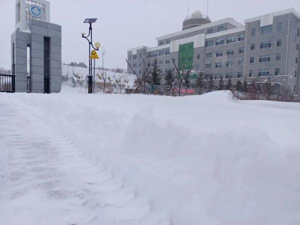 局地降水量超20毫米!黑龙江这场大雪,还要下多久? 局地降水量超20毫米!黑龙江这场大雪,还要下多久?