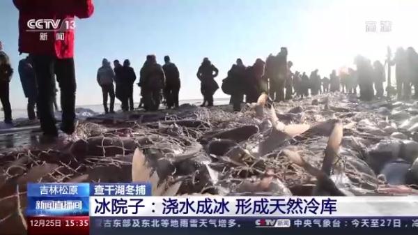 吉林松原查干湖冬捕:大鱼装满院 渔工忙分拣 吉林松原查干湖冬捕:大鱼装满院 渔工忙分拣
