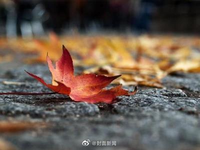 秋裤穿好了吗?成都冬天湿冷感效果拉满 秋裤穿好了吗?成都冬天湿冷感效果拉满