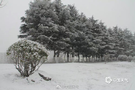 为啥威海的雪能够下得不管不顾？