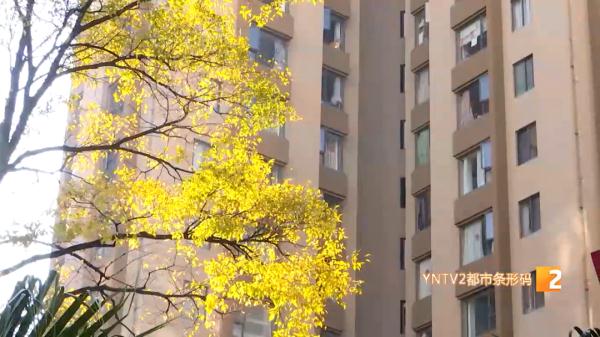 放座椅、绿化带、消防栓上，或者直接挂在家门口……这种“无接触”式送药太暖了！