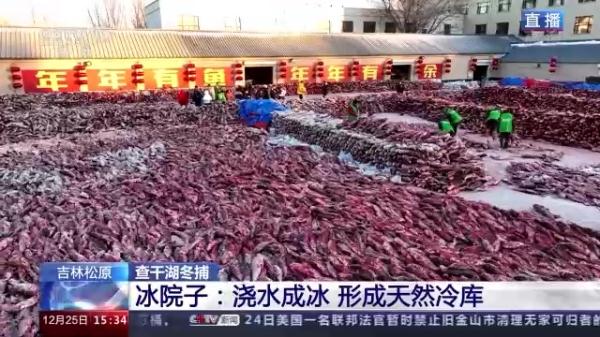 吉林松原查干湖冬捕:大鱼装满院 渔工忙分拣 吉林松原查干湖冬捕:大鱼装满院 渔工忙分拣