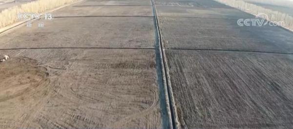 我国黑土资源分布特征、土层结构等情况基本查清 我国黑土资源分布特征、土层结构等情况基本查清