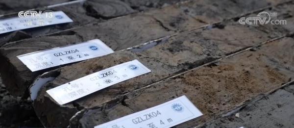 我国黑土资源分布特征、土层结构等情况基本查清 我国黑土资源分布特征、土层结构等情况基本查清