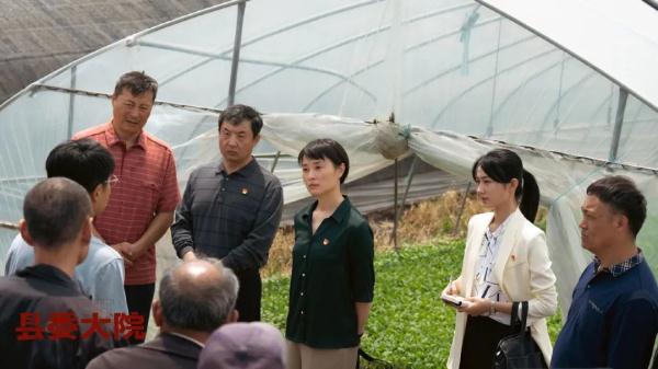 《县委大院》收到的气象预警，与现实差别有多大？