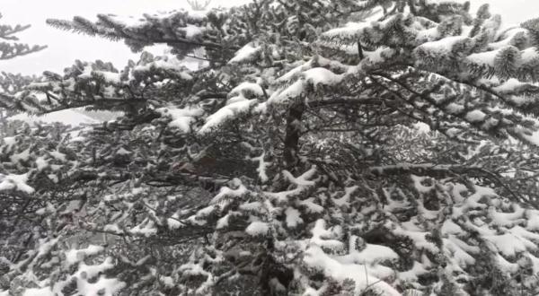 昆明这里又下雪了！重要预报：今晚起，局地降温12℃！