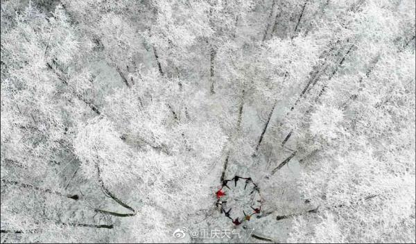 重庆多地下雪！城口黄安坝气温低至-12.9℃