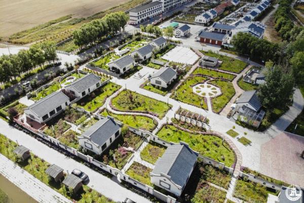 读懂龙江 | 抢抓产业“新风口” 打造富民“大产业”——黑龙江勃利道地中药材产业观察