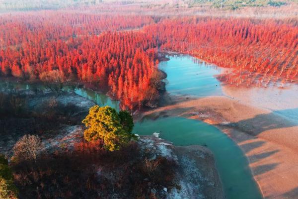 合肥再添两个“国家湿地公园”！