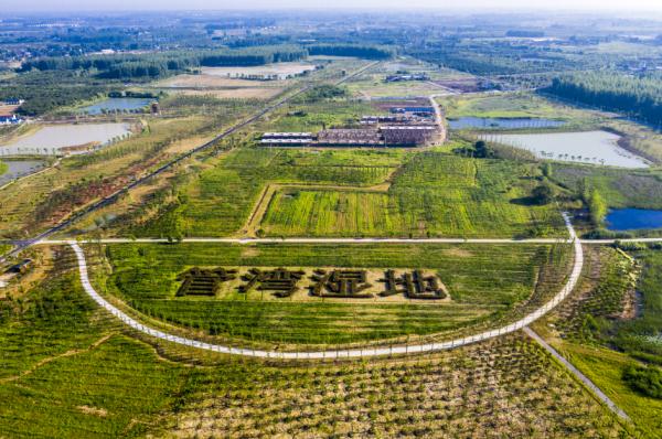 合肥再添两个“国家湿地公园”！