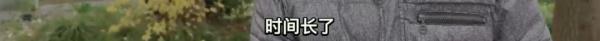 现实版“蜘蛛侠”！老人从阳台跌落悬空，他“出手”了…