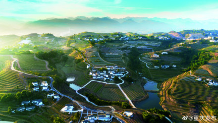 重庆行政村通光纤率、4G网络覆盖率、5G网络乡镇到达率均达到100% 重庆行政村通光纤率、4G网络覆盖率、5G网络乡镇到达率均达到100%