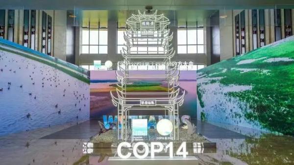 火出国了！武汉又多三个新称号