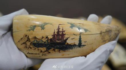 黑龙江警方查获走私抹香鲸牙齿325个