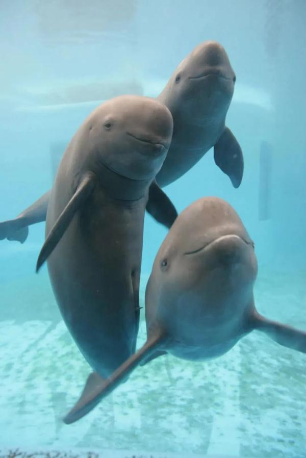 火出国了！武汉又多三个新称号