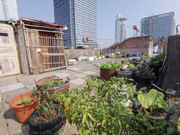 突发！柳州这小区楼顶遭火灾，多只活鸡变“烧鸡”！这些细节要注意