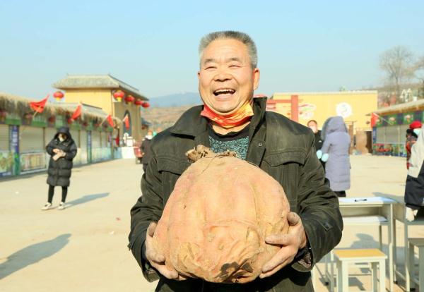 河南汝阳举行红薯擂台赛  