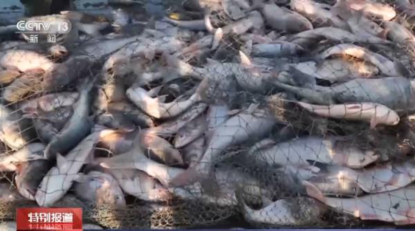 日出东方耀冰湖 新年捕鱼好兆头