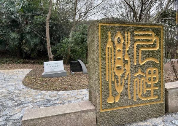 漫步林间木桩道，寻访南宋“九里墩”，上海“环上公园”元旦上新！