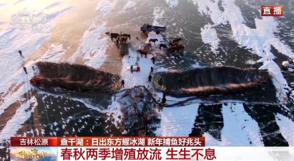 日出东方耀冰湖 新年捕鱼好兆头