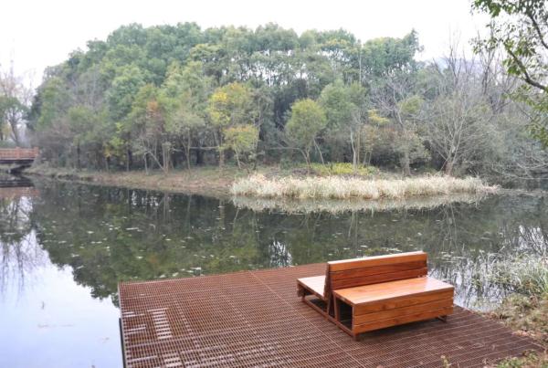 漫步林间木桩道，寻访南宋“九里墩”，上海“环上公园”元旦上新！