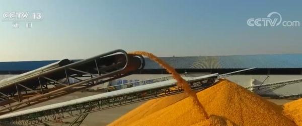 我国“米袋子”“菜篮子”产品总量充足 四项举措稳产保供稳价 我国“米袋子”“菜篮子”产品总量充足 四项举措稳产保供稳价