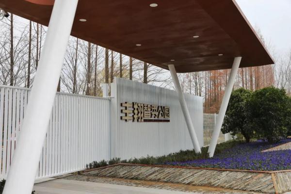 漫步林间木桩道，寻访南宋“九里墩”，上海“环上公园”元旦上新！