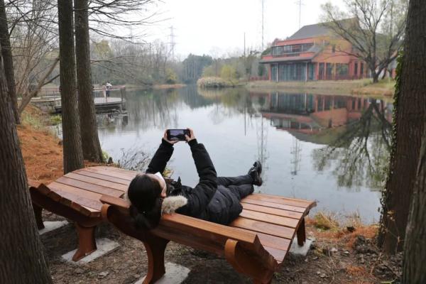 漫步林间木桩道，寻访南宋“九里墩”，上海“环上公园”元旦上新！