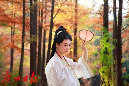 冬日大夫山里的一抹红 比油画还美！