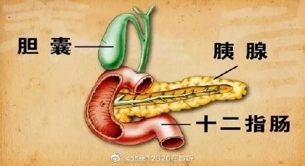 胰腺的功能有哪些？