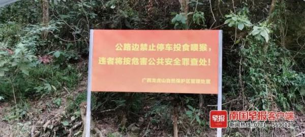 在国道上停车逗猴？有关部门提醒：禁止！危险！