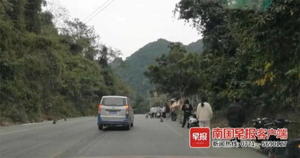 在国道上停车逗猴？有关部门提醒：禁止！危险！
