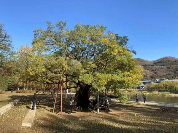 期待！怀柔网红“西山栈道”完成修缮