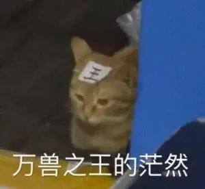 新生儿爆款名字有变化！“梓豪”退居第三，更多男孩叫这个名 