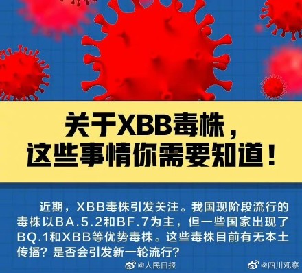 转需了解！关于XBB，你需要知道这些