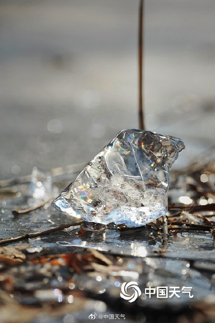 冬日里的细节美 圆明园湖面现钻石冰