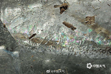 冬日里的细节美 圆明园湖面现钻石冰