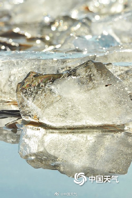 冬日里的细节美 圆明园湖面现钻石冰