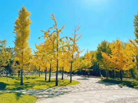 期待！北京怀柔网红“西山栈道”完成修缮