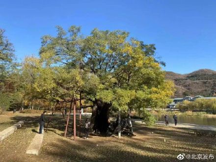 期待！北京怀柔网红“西山栈道”完成修缮