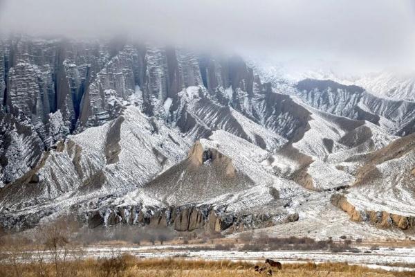 今日小寒 | 料峭寒风腊梅香 今日小寒 | 料峭寒风腊梅香