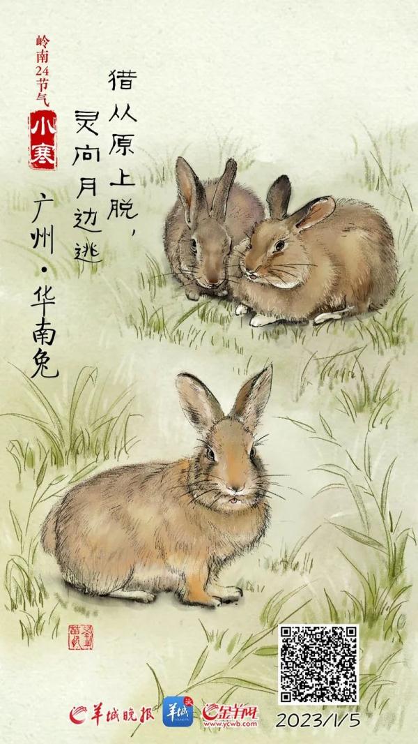 广东：小寒节气多股冷空气在“排队”，春节期间或有中等偏强冷空气