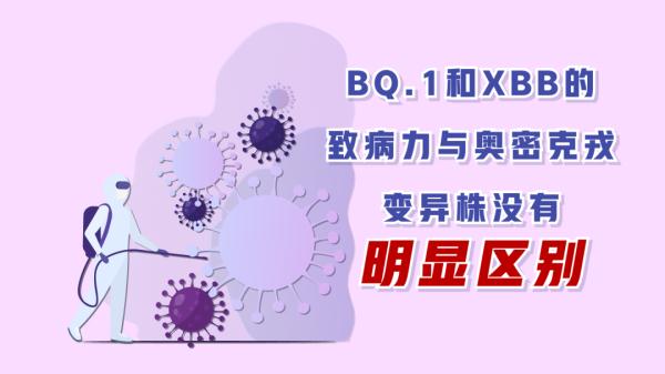 防疫动画丨关于XBB，你需要知道的都在这！